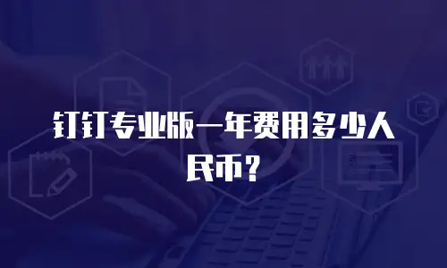 钉钉专业版一年费用多少人民币？