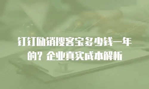钉钉励销搜客宝多少钱一年的？企业真实成本解析