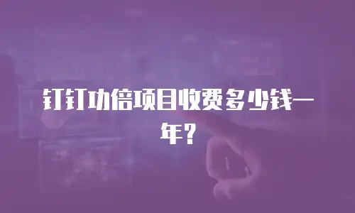 钉钉功倍项目收费多少钱一年？