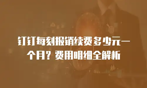 钉钉每刻报销续费多少元一个月？费用明细全解析