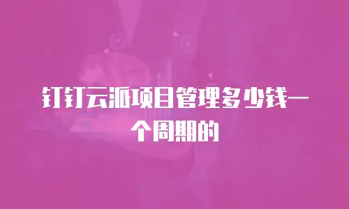 钉钉云派项目管理多少钱一个周期的