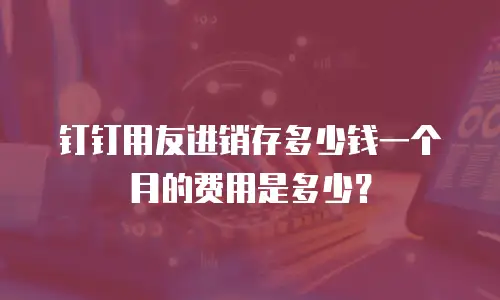 钉钉用友进销存多少钱一个月的费用是多少？