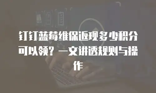 钉钉蓝莓维保返现多少积分可以领？一文讲透规则与操作