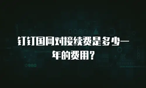 钉钉国网对接续费是多少一年的费用？