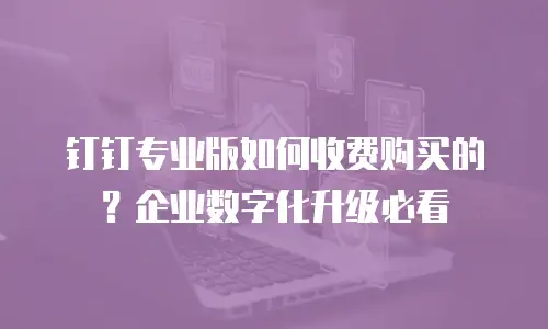 钉钉专业版如何收费购买的？企业数字化升级必看