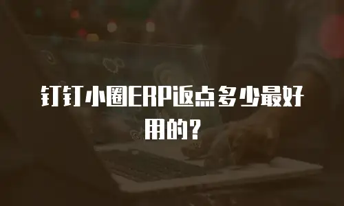 钉钉小圈ERP返点多少最好用的？