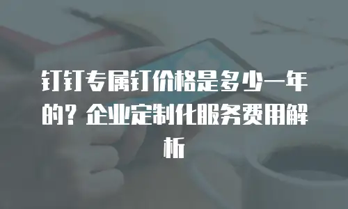 钉钉专属钉价格是多少一年的？企业定制化服务费用解析