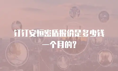 钉钉安恒密盾报价是多少钱一个月的？