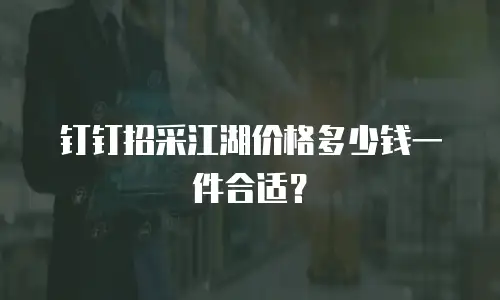 钉钉招采江湖价格多少钱一件合适？