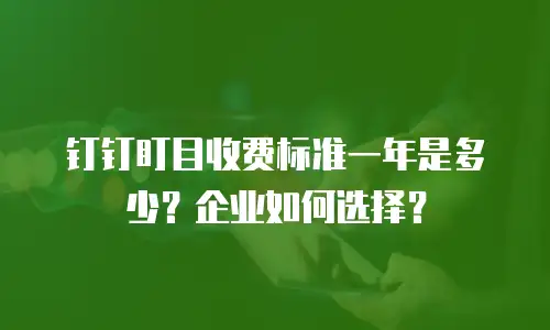 钉钉盯目收费标准一年是多少？企业如何选择？