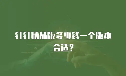 钉钉精品版多少钱一个版本合适？