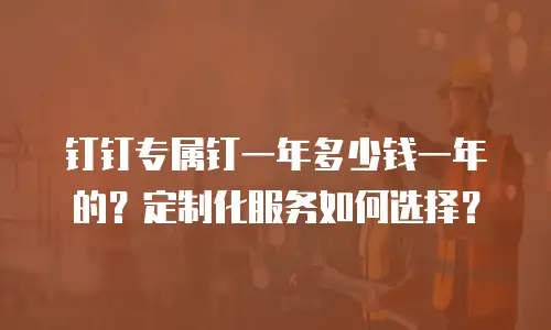钉钉专属钉一年多少钱一年的？定制化服务如何选择？
