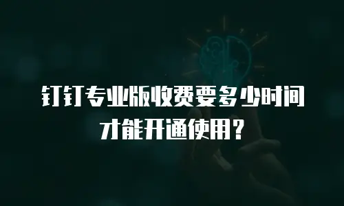 钉钉专业版收费要多少时间才能开通使用？
