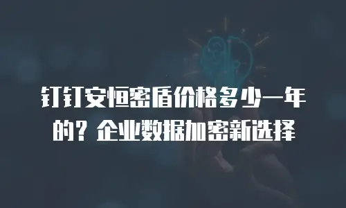 钉钉安恒密盾价格多少一年的？企业数据加密新选择
