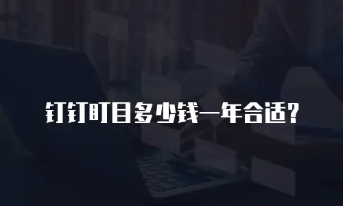 钉钉盯目多少钱一年合适？