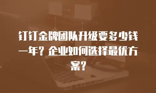 钉钉金牌团队升级要多少钱一年？企业如何选择最优方案？
