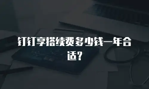 钉钉享搭续费多少钱一年合适？