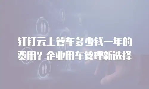 钉钉云上管车多少钱一年的费用？企业用车管理新选择
