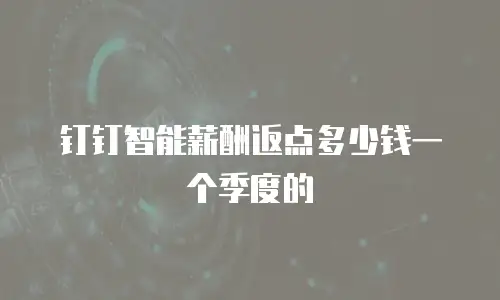 钉钉智能薪酬返点多少钱一个季度的