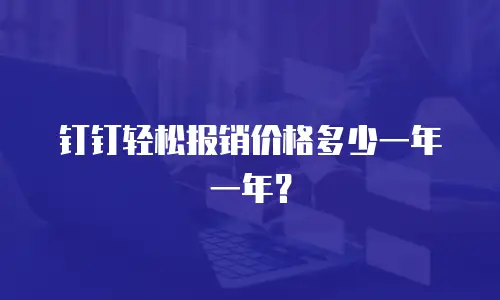 钉钉轻松报销价格多少一年一年？