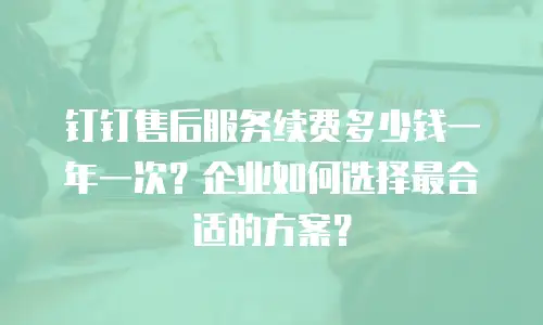 钉钉售后服务续费多少钱一年一次？企业如何选择最合适的方案？