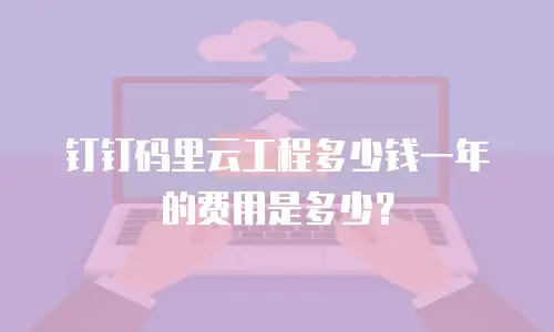 钉钉码里云工程多少钱一年的费用是多少？