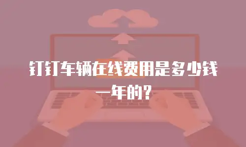 钉钉车辆在线费用是多少钱一年的？