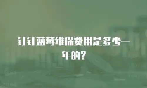 钉钉蓝莓维保费用是多少一年的？