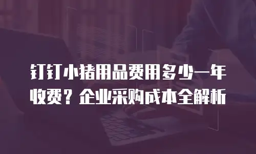 钉钉小猪用品费用多少一年收费？企业采购成本全解析