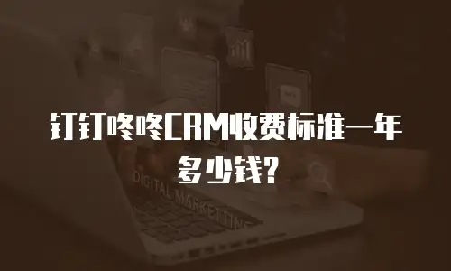 钉钉咚咚CRM收费标准一年多少钱？