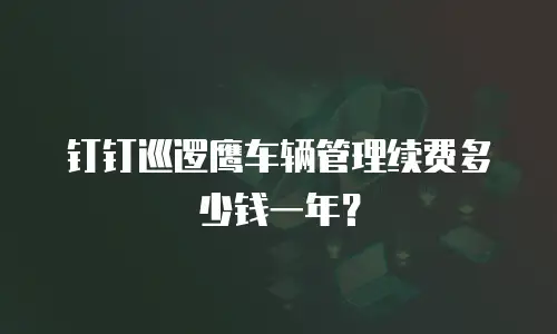 钉钉巡逻鹰车辆管理续费多少钱一年？