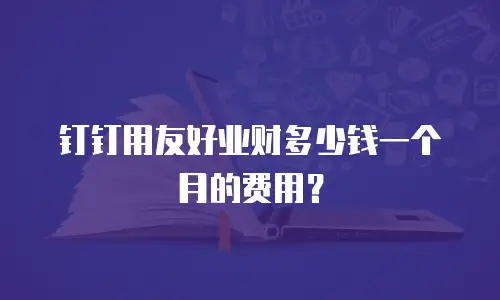 钉钉用友好业财多少钱一个月的费用？