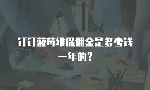 钉钉蓝莓维保佣金是多少钱一年的？