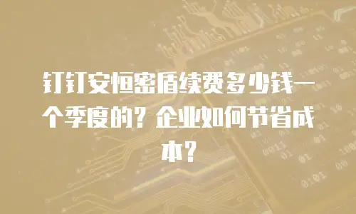 钉钉安恒密盾续费多少钱一个季度的？企业如何节省成本？