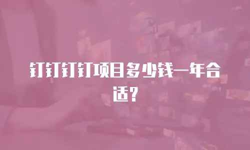 钉钉钉钉项目多少钱一年合适？
