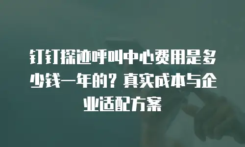 钉钉探迹呼叫中心费用是多少钱一年的？真实成本与企业适配方案