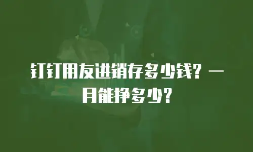 钉钉用友进销存多少钱？一月能挣多少？