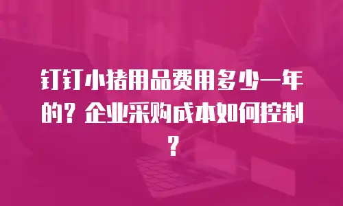 钉钉小猪用品费用多少一年的？企业采购成本如何控制？