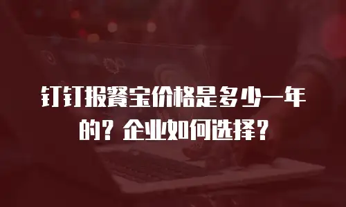 钉钉报餐宝价格是多少一年的？企业如何选择？