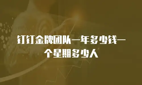 钉钉金牌团队一年多少钱一个星期多少人