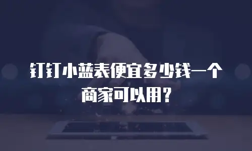 钉钉小蓝表便宜多少钱一个商家可以用？