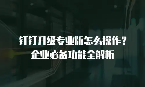 钉钉升级专业版怎么操作？企业必备功能全解析