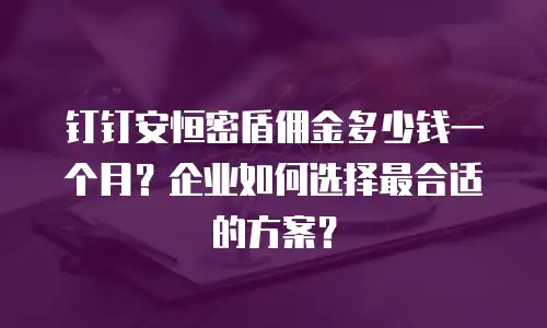 钉钉安恒密盾佣金多少钱一个月？企业如何选择最合适的方案？