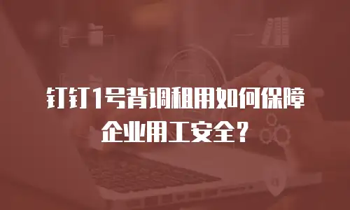 钉钉1号背调租用如何保障企业用工安全？