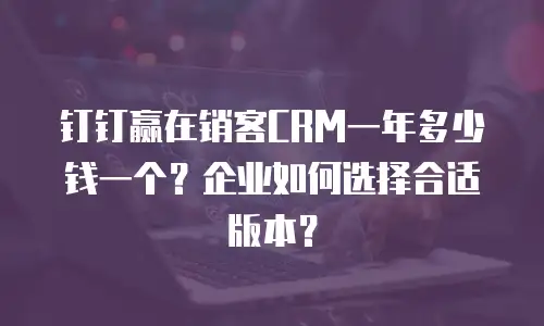 钉钉赢在销客CRM一年多少钱一个？企业如何选择合适版本？