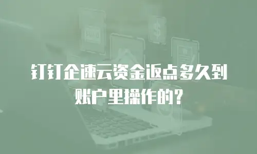 钉钉企速云资金返点多久到账户里操作的？