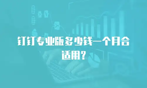 钉钉专业版多少钱一个月合适用？