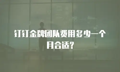 钉钉金牌团队费用多少一个月合适？