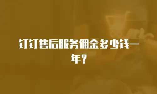 钉钉售后服务佣金多少钱一年？