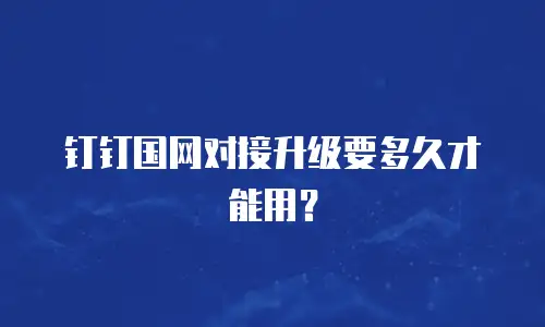 钉钉国网对接升级要多久才能用？